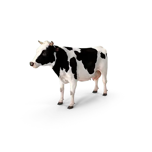 Veterinária